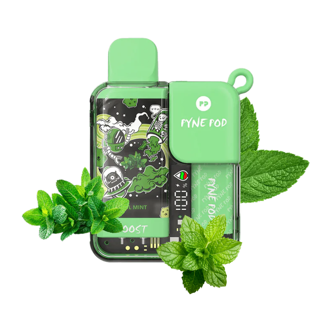 Pyne Pod Cool mint 8.5k 8500puff 5%